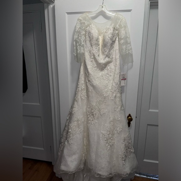 Wedding Gown from David’s Bridal - Picture 1 of 8